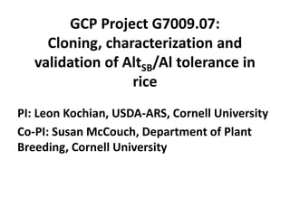 GCP Project G7009.07:
Cloning, characterization and
validation of AltSB/Al tolerance in
rice
PI: Leon Kochian, USDA-ARS, Cornell University
Co-PI: Susan McCouch, Department of Plant
Breeding, Cornell University
 