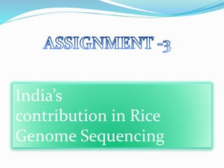 India’s
contribution in Rice
Genome Sequencing
 