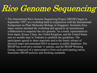 Rice Genome Sequencing
• The International Rice Genome Sequencing Project (IRGSP) began in
September 1997, at a workshop held in conjunction with the International
Symposium on Plant Molecular Biology in Singapore. Scientists from
many nations attended the workshop and agreed to an international
collaboration to sequence the rice genome. As a result, representatives
from Japan, Korea, China, the United Kingdom, and the United States
met six months later in Tsukuba to establish the guidelines. The
participants agreed to share materials and to the timely release of
physical maps and annotated DNA se-quence to public databases. The
IRGSP has evolved to include 11 nations, and the IRGSP Working
Group, composed of a representative from each participating nation,
formulates IRGSP policies and finishing standards.
 