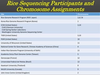Rice Sequencing Participants and
Chromosome Assignments
Site Chromosome
Rice Genome Research Program (RGP; Japan) 1,6,7,8
Korea Rice Genome Research Program (Korea) 1
CCW (United States)
CUGI (Clemson University)
Cold Spring Harbor Laboratory
Washington University Genome Sequencing Center
3,10
TIGR (United States) 3,10
PGIR (United States) 10
University of Wisconsin (United States) 11
National Center for Gene Research, Chinese Academy of Sciences (China) 4
Indian Rice Genome Program (University of Delhi) 11
Academia Sinica Plant Genome Center (Taiwan) 5
Genoscope (France) 12
Universidad Federal de Pelotas (Brazil) 12
Kasetsart University (Thailand) 9
McGill University (Canada) 9
John Innes Centre (United Kingdom) 2
 