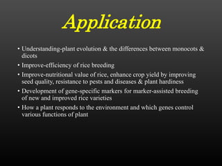 Application
• Understanding-plant evolution & the differences between monocots &
dicots
• Improve-efficiency of rice breeding
• Improve-nutritional value of rice, enhance crop yield by improving
seed quality, resistance to pests and diseases & plant hardiness
• Development of gene-specific markers for marker-assisted breeding
of new and improved rice varieties
• How a plant responds to the environment and which genes control
various functions of plant
 