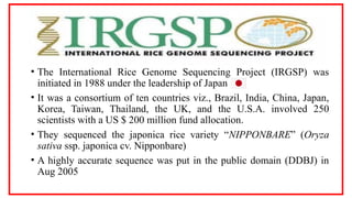 Rice Genomics & Whole Genome Sequencing.pptx