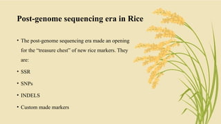 Rice Genomics & Whole Genome Sequencing.pptx