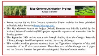 Rice Genomics & Whole Genome Sequencing.pptx
