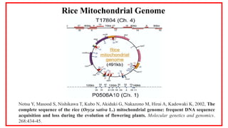 Rice Genomics & Whole Genome Sequencing.pptx