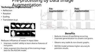 AI Convolutional Neural Network for Rice Grain Classification. | PPT