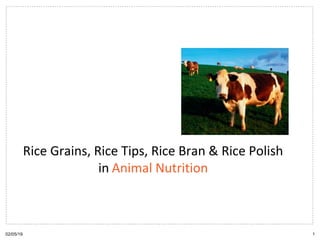 02/05/19 1
Rice Grains, Rice Tips, Rice Bran & Rice Polish
in Animal Nutrition
 