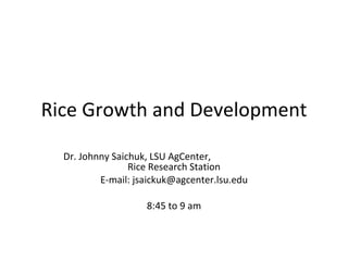 Rice Growth and Development Dr. Johnny Saichuk, LSU AgCenter,  Rice Research Station E-mail: jsaickuk@agcenter.lsu.edu 8:45 to 9 am 