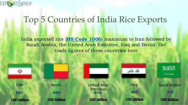 Rice export business plan in india picture