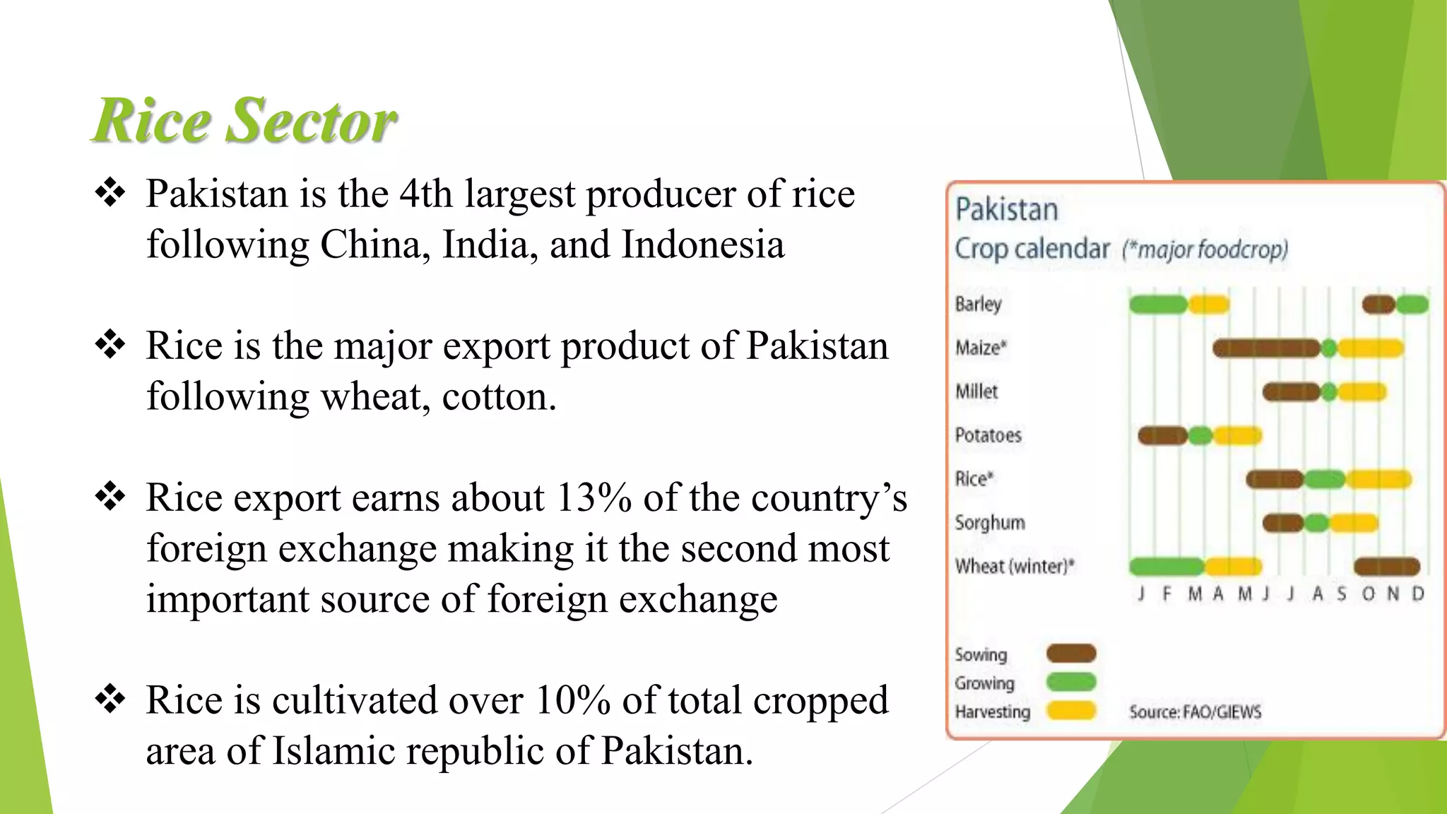 Paksitan Rice Rice industry in pakistan | PPT