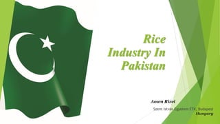 Rice
Industry In
Pakistan
Szent István Egyetem ÉTK, Budapest
Hungary
Aown Rizvi
 