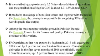 Rice industry in pakistan | PDF