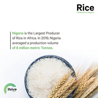 Nigeria is the Largest Producer
of Rice in Africa. In 2019, Nigeria
averaged a production volume
of 8 million metric Tonnes.
 