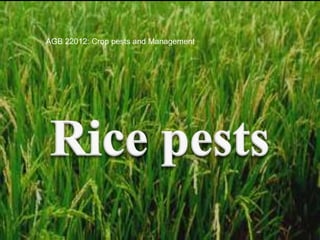 1
AGB 22012: Crop pests and Management
 