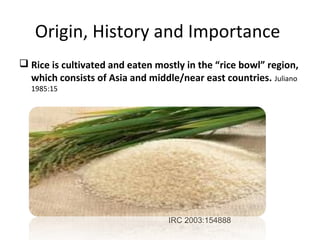 How Rice Was Invented Rice lecture final | PPT