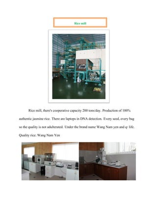 Rice mill, there's cooperative capacity 200 tons/day. Production of 100%
authentic jasmine rice. There are laptops in DNA detection. Every seed, every bag
so the quality is not adulterated. Under the brand name Wang Nam yen and q- life.
Quality rice. Wang Nam Yen
Rice mill
 