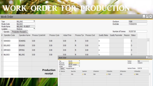 ERP for Rice Mill Solutions | SAP Business for Rice Mill Solutions ...