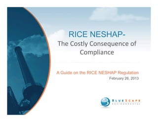 RICE NESHAP-
The	
  Costly	
  Consequence	
  of	
  
          Compliance

A Guide on the RICE NESHAP Regulation
                        February 26, 2013
 