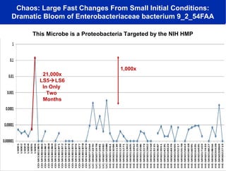 Chaos: Large Fast Changes From Small Initial Conditions:
Dramatic Bloom of Enterobacteriaceae bacterium 9_2_54FAA
This Microbe is a Proteobacteria Targeted by the NIH HMP

21,000x
LS5LS6
In Only
Two
Months

1,000x

 