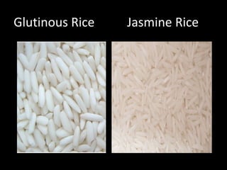 Glutinous Rice   Jasmine Rice
 