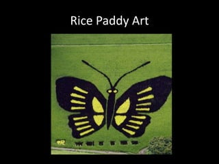 Rice Paddy Art 