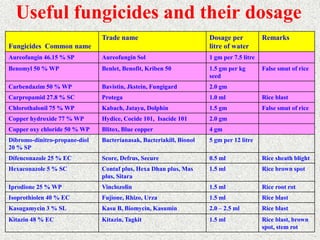 RICE PESTS AND DISEASES RK DE 2022.ppt
