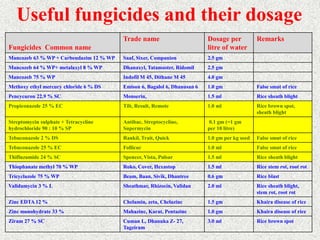 RICE PESTS AND DISEASES RK DE 2022.ppt