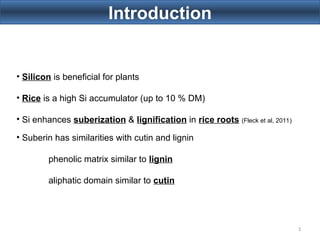 Influence of Silicon on Rice Plant Cell Wall | PPT