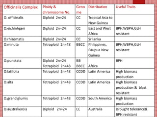 Officinalis Complex Ploidy &
chromosome No.
Geno
me
Distribution Useful Traits
O. officinalis Diploid 2n=24 CC Tropical Asia to
New Guinea
O.eichinhgeri Diploid 2n=24 CC East and West
Africa
BPH,WBPH,GLH
resistant
O.rhizomatis Diploid 2n=24 CC Srilanka
O.minuta Tetraploid 2n=48 BBCC Philippines,
Paupua New
Guinea
BPH,WBPH,GLH
resistant
O.punctata Diploid 2n=24
Tetraploid 2n=48
BB
BBCC Africa
BPH
O.latifolia Tetraploid 2n=48 CCDD Latin America High biomass
production
O.alta Tetraploid 2n=48 CCDD Latin America High biomass
production & blast
resistant
O.grandiglumis Tetraploid 2n=48 CCDD South America High biomass
production
O.australiensis Diploid 2n=24 EE Australia Drought tolerance&
BPH resistant
 