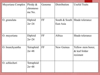 Meyeriana Complex Ploidy &
chromoso
me No.
Genome Distribution Useful Traits
O. granulata Diploid
2n=24
FF South & South
East Asia
Shade tolerance
O. meyeriana Diploid
2n=24
FF Africa Shade tolerance
O. branchyantha Tetraploid
2n=48
FF New Guinea Yellow stem borer,
& leaf folder
resistant
O. schlecheri Tetraploid
2n=48
 