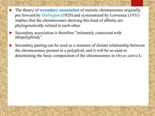  The theory of secondary association of meiotic chromosomes originally
put forward by Darlington (1928) and systematized by Lawrence (1931)
implies that the chromosomes showing this kind of affinity are
phylogeneticalIy related to each other.
 Secondary association is therefore "intimately connected with
allopolyploidy“.
 Secondary pairing can be used as a measure of distant relationship between
the chromosomes present in a polyploid, and it will be so used in
determining the basic composition of the chromosomes in Oryza sativa L.
 