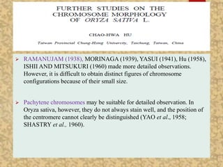  RAMANUJAM (1938), MORINAGA (1939), YASUI (1941), Hu (1958),
ISHII AND MITSUKURI (1960) made more detailed observations.
However, it is difficult to obtain distinct figures of chromosome
configurations because of their small size.
 Pachytene chromosomes may be suitable for detailed observation. In
Oryza sativa, however, they do not always stain well, and the position of
the centromere cannot clearly be distinguished (YAO et al., 1958;
SHASTRY et al., 1960).
 