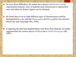  To solve these difficulties, the author have chosen haploid plants as his
experimental material, since in haploids each chromosome is represented
once and relatively distinct figures can be obtained.
 He found that seven to eight different types of chromosomes could be
distinguished in a set, and that Oryza sativa and Oryza glaberrima showed
almost the same karyotype (Hu, 1958).
 Comparing the data from haploid plants with those from diploids, he further
suggested that the various species of Oryza have similar karyotypes (Hu,
1961).
 
