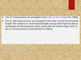  The 12 chromosomes are arranged in the order of their length (Hu, 1958).
 The 21 cells observed also are arranged in the order of total chromosome
length. The variation in chromosome length among cells might be due to
contraction of chromosomes which varies with the mitotic stage. Each of
the 12 chromosomes is characterized as follows:
 