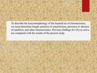  To describe the karyomorphology of the haploid set of chromosomes,
we must determine length, position of constrictions, presence or absence
of satellites, and other characteristics. Previous findings for Oryza sativa
are compared with the results of the present study.
 
