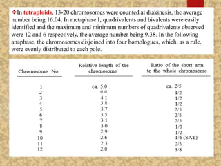 In tetraploids, 13-20 chromosomes were counted at diakinesis, the average
number being 16.04. In metaphase I, quadrivalents and bivalents were easily
identified and the maximum and minimum numbers of quadrivalents observed
were 12 and 6 respectively, the average number being 9.38. In the following
anaphase, the chromosomes disjoined into four homologues, which, as a rule,
were evenly distributed to each pole.
 