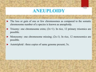 ANEUPLOIDY
 The loss or gain of one or few chromosomes as compared to the somatic
chromosome number of a species is known as aneuploidy.
 Trisomy: one chromosome extra; (2x+1). In rice, 12 primary trisomics are
possible.
 Monosomy: one chromosome missing; (2x-1). In rice, 12 monosomics are
possible.
 Autotriploid : three copies of same genome present; 3x.
48
 