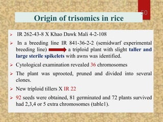 Origin of trisomics in rice
 IR 262-43-8 X Khao Dawk Mali 4-2-108
 In a breeding line IR 841-36-2-2 (semidwarf experimental
breeding line) a triploid plant with slight taller and
large sterile spikelets with awns was identified.
 Cytological examination revealed 36 chromosomes
 The plant was uprooted, pruned and divided into several
clones.
 New triploid tillers X IR 22
 92 seeds were obtained, 81 germinated and 72 plants survived
had 2,3,4 or 5 extra chromosomes (table1).
50
 