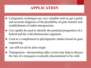APPLICATION
 Cytogenetic techniques are very valuable tools to get a quick
and accurate diagnosis of the possibility of gene transfer and
establishment of stable introgression.
 Can rapidly be used to identify the potential progenitors of a
hybrid and the wild chromosome segments.
 Used as a complement to phylogenetic studies based on gene
sequencing.
 can still reveal its alien origin.
 Transgenesis - documenting older events may help to discuss
the fate of a transgene eventually disseminated in the wild.
 