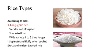 Rice ppt.pptx food science and technology | PPTX