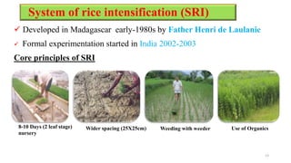 System of rice intensification (SRI)
 Developed in Madagascar early-1980s by Father Henri de Laulanie
 Formal experimentation started in India 2002-2003
Core principles of SRI
13
8-10 Days (2 leaf stage)
nursery
Wider spacing (25X25cm) Weeding with weeder Use of Organics
 