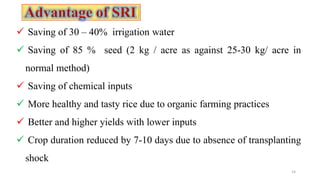 Saving of 30 – 40% irrigation water
 Saving of 85 % seed (2 kg / acre as against 25-30 kg/ acre in
normal method)
 Saving of chemical inputs
 More healthy and tasty rice due to organic farming practices
 Better and higher yields with lower inputs
 Crop duration reduced by 7-10 days due to absence of transplanting
shock
14
 
