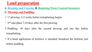 Land preparation
A. Brushing and Clearing B. Repairing Water Control Structures
C. Plowings and Puddling
 1st plowing- 2-3 weeks before transplanting begins
 2nd take place 7-10 days after the first plowing
 Puddling- 10 days after the second plowing and one day before
transplanting.
 If a basal application of fertilizer is intended, broadcast the fertilizer just
before puddling
20
 