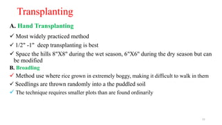 Transplanting
A. Hand Transplanting
 Most widely practiced method
 1/2" -1" deep transplanting is best
 Space the hills 8"X8" during the wet season, 6"X6" during the dry season but can
be modified
B. Broadling
 Method use where rice grown in extremely boggy, making it difficult to walk in them
 Seedlings are thrown randomly into a the puddled soil
 The technique requires smaller plots than are found ordinarily
21
 