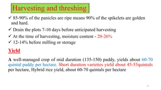 Harvesting and threshing
 85-90% of the panicles are ripe means 90% of the spikelets are golden
and hard.
 Drain the plots 7-10 days before anticipated harvesting
 At the time of harvesting, moisture content - 20-26%
 12-14% before milling or storage
Yield
A well-managed crop of mid duration (135-150) paddy, yields about 60-70
quintal paddy per hectare. Short duration varieties yield about 45-55quintals
per hectare, Hybrid rice yield, about 60-70 quintals per hectare
29
 