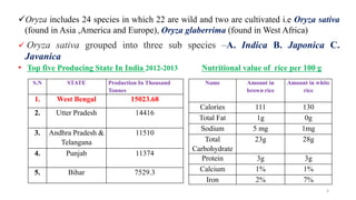 Oryza includes 24 species in which 22 are wild and two are cultivated i.e Oryza sativa
(found in Asia ,America and Europe), Oryza glaberrima (found in West Africa)
 Oryza sativa grouped into three sub species –A. Indica B. Japonica C.
Javanica
• Top five Producing State In India 2012-2013 Nutritional value of rice per 100 g
S.N STATE Production In Thousand
Tonnes
1. West Bengal 15023.68
2. Utter Pradesh 14416
3. Andhra Pradesh &
Telangana
11510
4. Punjab 11374
5. Bihar 7529.3
Name Amount in
brown rice
Amount in white
rice
Calories 111 130
Total Fat 1g 0g
Sodium 5 mg 1mg
Total
Carbohydrate
23g 28g
Protein 3g 3g
Calcium 1% 1%
Iron 2% 7%
3
 