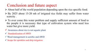 Conclusion and future aspect
 About half of the world population depending upon the rice specific food.
 By 2025 about 15-20 mh of irrigated rice fields may suffer from water
scarcity .
 To over come this water problem and supply sufficient amount of food to
the people it is necessary that type of cultivation system who need less
water but give more yield.
 Awareness about rice is not aquatic plant
 Standardization of AWD
 Weed management in aerobic and AWD
 Scope for sprinkler and drip irrigation
30
 