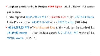  Highest productivity in Punjab 6000 kg/ha - 2013 . Egypt - 9.5 tonnes
per hectare.
India exported 40,45,796.25 MT of Basmati Rice of Rs. 22718.44 crores.
Uttar Pradesh export 443957.16 MT of Rs. 2722.65 crore (2015-16)
 63,66,585.53 MT of Non-Basmati Rice to the world for the worth of Rs.
15129.09 crores Uttar Pradesh export 3, 21,473.61 MT worth of Rs.
949.82 crores. (2015-16)
4
 
