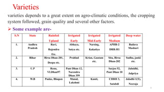 Varieties
varieties depends to a great extent on agro-climatic conditions, the cropping
system followed, grain quality and several other factors.
 Some example are-
S.N State Rainfed
Upland
Irrigated
Early
Irrigated
Mid-Early
Irrigated
Medium
Deep water
1. Andhra
Pradesh
Ravi,
Rajendra
Etc.
Abhaya,
Satya etc.
Narsing,
Kakatiya
APHR-2
DRR-H1
Badava
Mashuri
2. Bihar Birsa Dhan-201,
Deepa etc.
Prahlad Krian, Gautam
etc.
Sita, Birsa
Dhan-202
Sudha, janki
etc.
3. U.P Renu,
VLDhan97
Pant Dhan 12,
Narendra
Dhan 359
Sarjoo 52,
Pant Dhan 10
Jalnidhi,
Jalpriya
4. W.B Panke, Bhupen Munal,
Lakshmi
Kunti, CHRH 3,
Satabdi
Jaladhi 1(T),
Neeraja
6
 