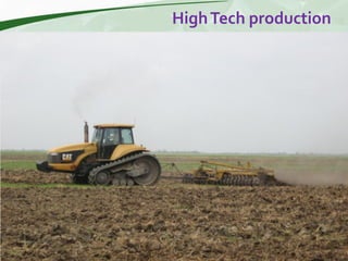 Rice production and research in Suriname